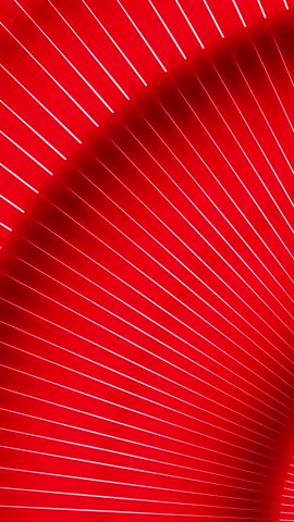 Shutterstock Video