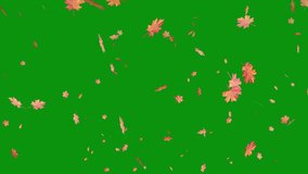 Autumn leaf fall animation in pixel art style. Autumn maple leaves falling on green screen. Animated seamless loop on chroma key background. - Powered by Shutterstock - Get 15% off with code: PIKWIZARD15