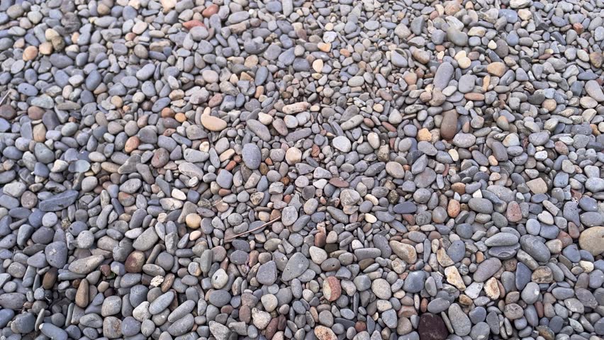 A close-up view of a ground surface covered in small to medium-sized pebbles of varying shapes and muted earth tones, including gray, brown, and beige. 