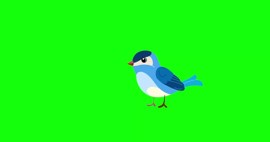 Shutterstock Video