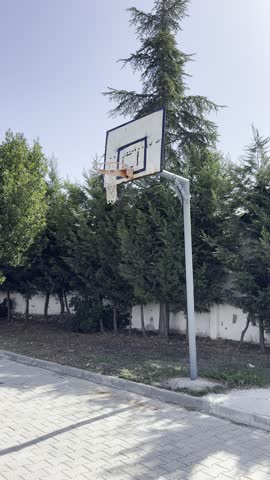 Outdoor basketball court with hoop and tall pine trees, ideal for sports and recreation footage in a natural setting.
