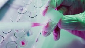 Laboratory technician wearing gloves adding reagent to test tubes using a pipette, performing scientific experiment in medical research lab - Powered by Shutterstock - Get 15% off with code: PIKWIZARD15