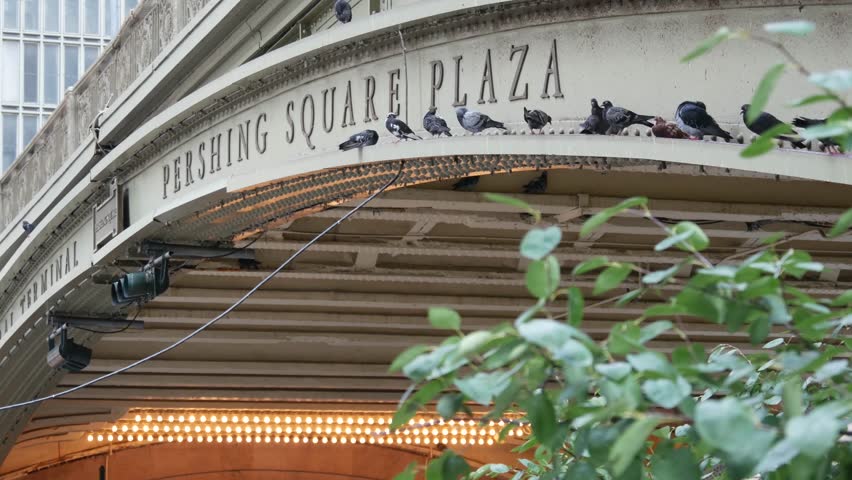 New York City Grand Central Terminal railway station, 42 street. Manhattan Midtown. Sign on bridge on Pershing Square, NYC, USA. American urban scene, United States. Pigeon birds and retro light bulbs