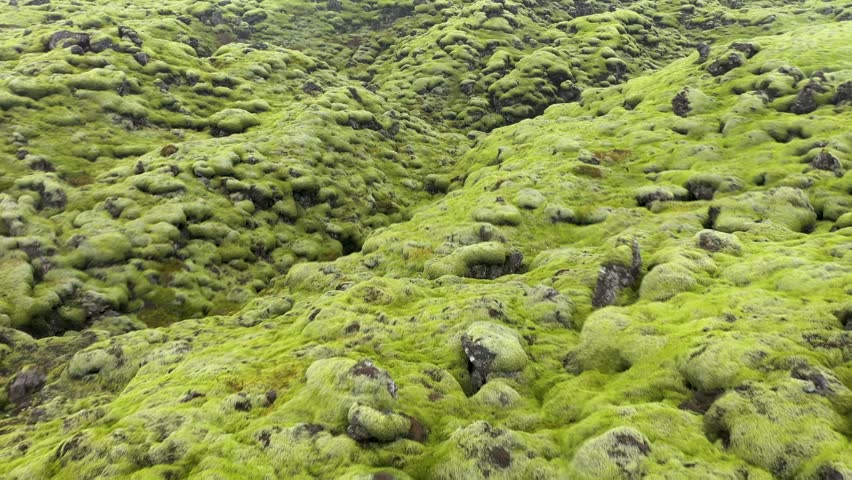  Flying over Eldhraun lava field in Iceland, aerial slow motion view