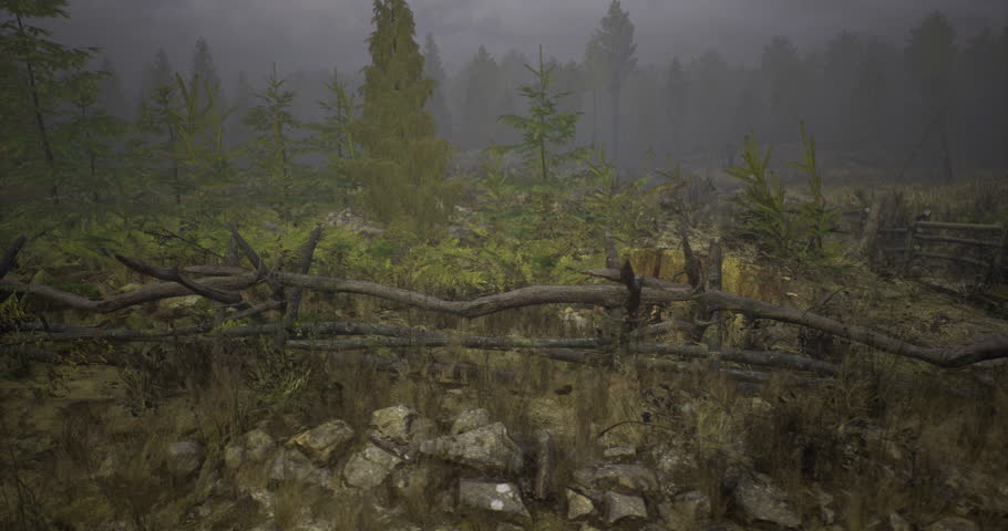 A serene forest landscape features a wooden fence amidst dense foliage, moss covered rocks, and trees fading into a foggy background during twilight, creating a quiet atmosphere.