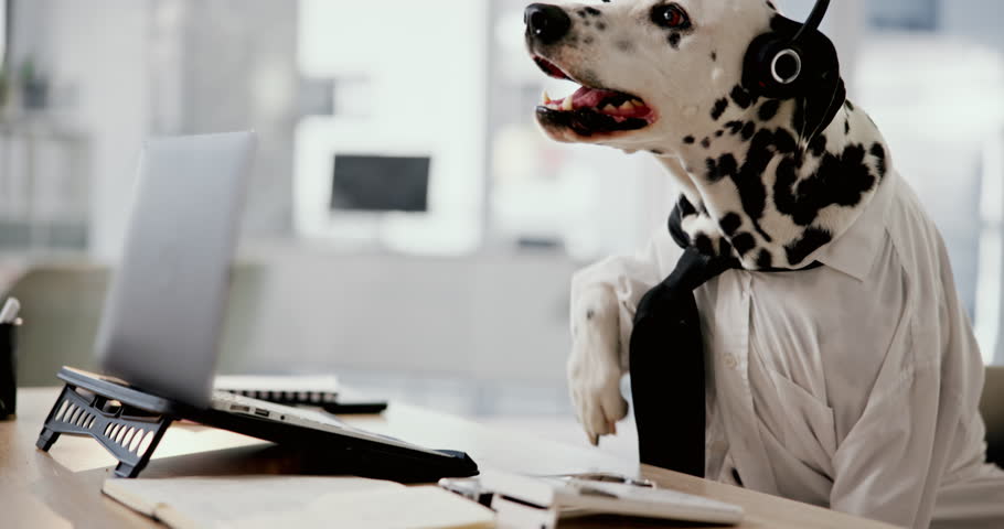 Call center, headset and dog in office with laptop for consulting, questions or animal insurance or cover. Telecom, agent or Dalmatian puppy online with pc for customer support, help desk or pet care