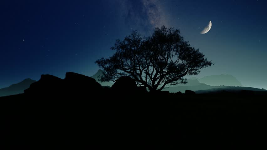 A tranquil night scene with a majestic tree silhouetted against a starry sky and crescent moon above. 3d animation. 3D Illustration