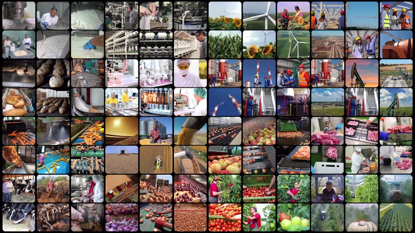 Industrial Manufacturing. Business Industries. Workers Of Different Professions At Work. Workforce Productivity. Oil Industry. Agriculture. Energy Industry. Food Industry. Pharmaceutical Industry.