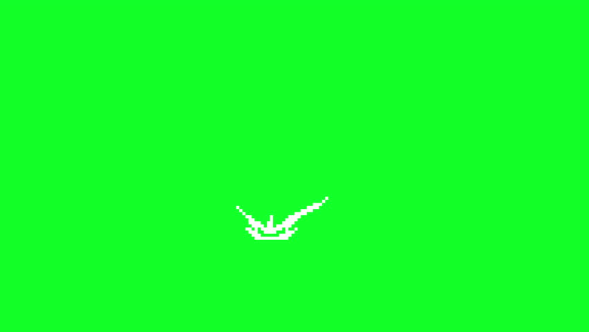 Shutterstock Video