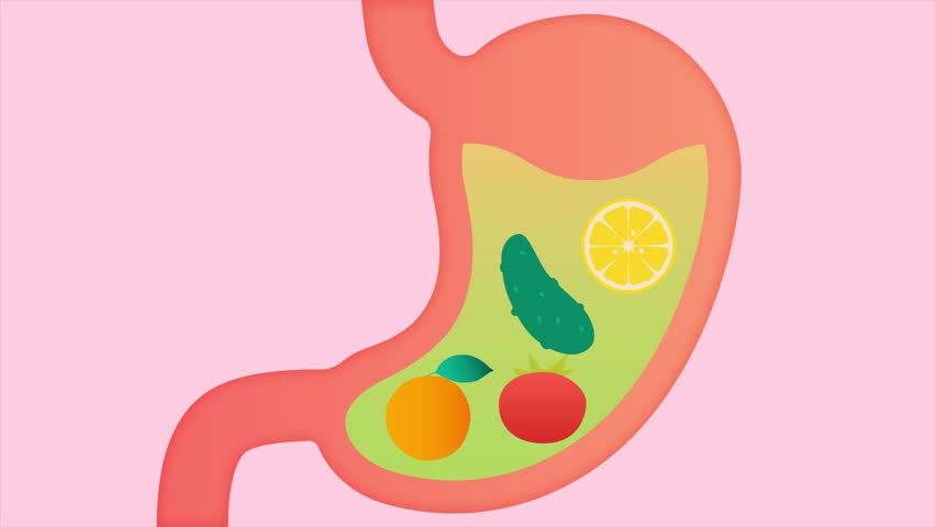 Acid in the stomach. Minimal modern seamless motion design. Animation 2D