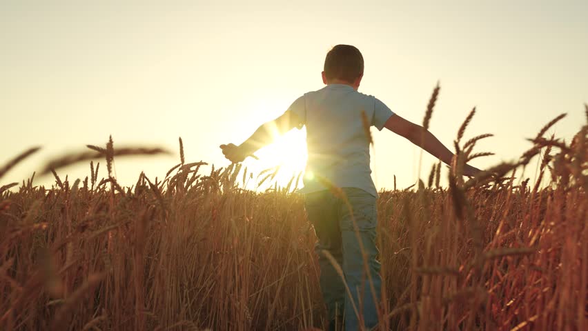 Boy playing superhero in countryside. Happy boy with raised arms running through wheat field. Child playing in countryside, dream travel by plane. Child dream fly, fantasy boy. Child running in nature