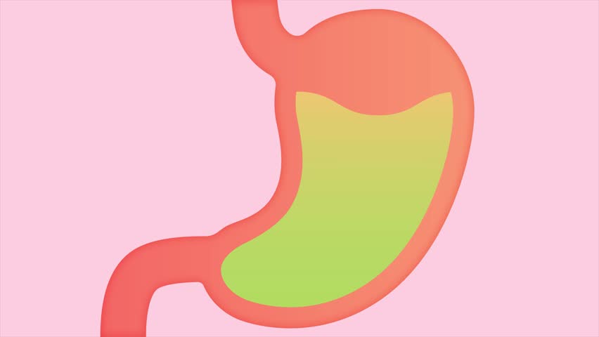 Heartburn in the stomach. Minimal modern seamless motion design. Animation 2D