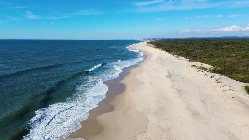 Drone view on the beautiful and empty beach of Atlantic Ocean. Atlantic ocean, huge beautiful waves, empty sand dunes and beach forest