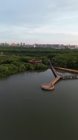 Manglar urbano de Barranquilla, Atlantico, Colombia