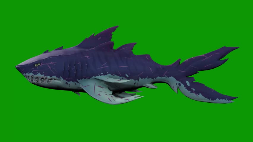 A cute Shark swimming scene from left 3D rendering animation on green screen or chroma key video clip