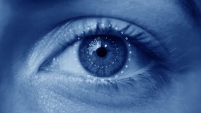 Close-up of Human Eye with Digital Overlay Data Stream - Powered by Shutterstock - Get 15% off with code: PIKWIZARD15