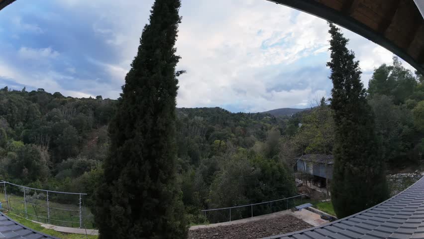 landscape with cypress special timelapse footage