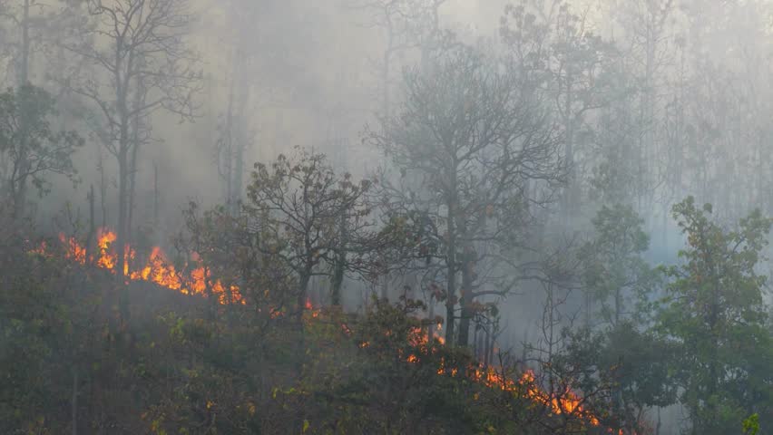 Aerial panoramic view of a forest at night, wild fire in spring aerial. wildfire smoke, air pollution. . critical fire season. natural disasters. fire in full blaze. Natural disaster epic drone cinema