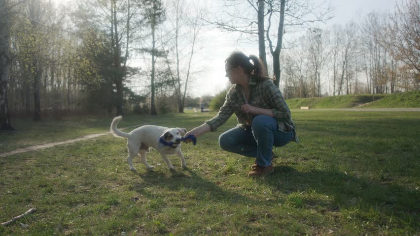 A young, beautiful girl is playing with her dog on a sunny day