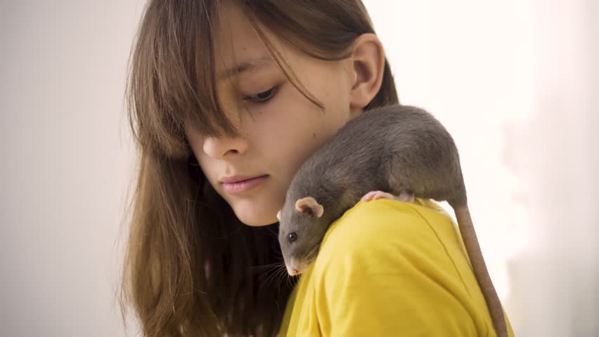 Close-up portrait of a teenage girl with a pet gray rat sitting on her shoulder. Natural light and focus on the face and animal. A calm and unique moment of connection between human and pet.