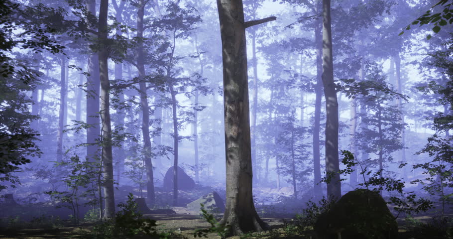 Dense trees rise in a misty forest, creating an enchanting atmosphere. Soft light filters through the foliage, revealing vibrant greens amidst the mystery of the woodland.