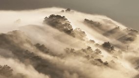 A breathtaking sunrise scene featuring rolling hills shrouded in a thick layer of mist. - Powered by Shutterstock - Get 15% off with code: PIKWIZARD15