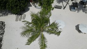 Aerial view of young man lying alone on a sunbed at the white sand beach at Indian Ocean coastline.Thulusdhoo island.Maldives.Drone point view video - Powered by Shutterstock - Get 15% off with code: PIKWIZARD15
