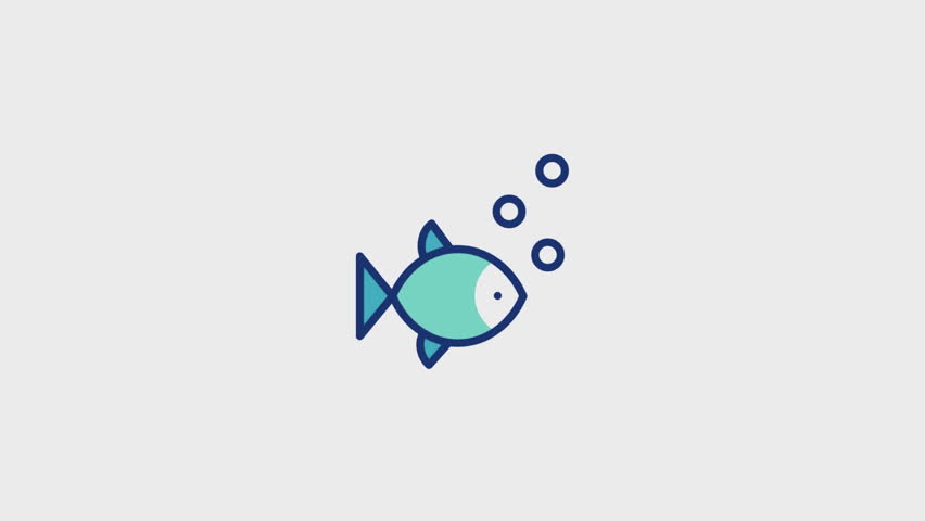 Shutterstock Video