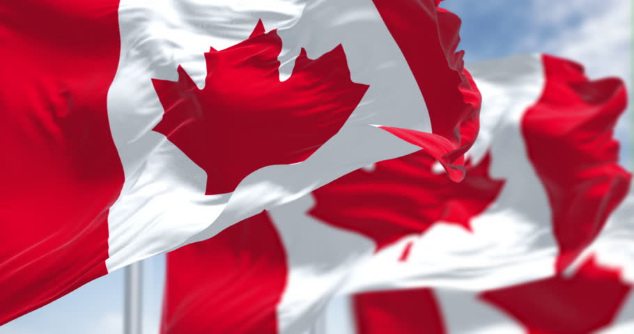 Canadian flag with red maple leaf fluttering in the wind, symbol of pride, identity and patriotism. National flag of Canada. Seamless 3d render animation. Slow motion loop. Selective focus
