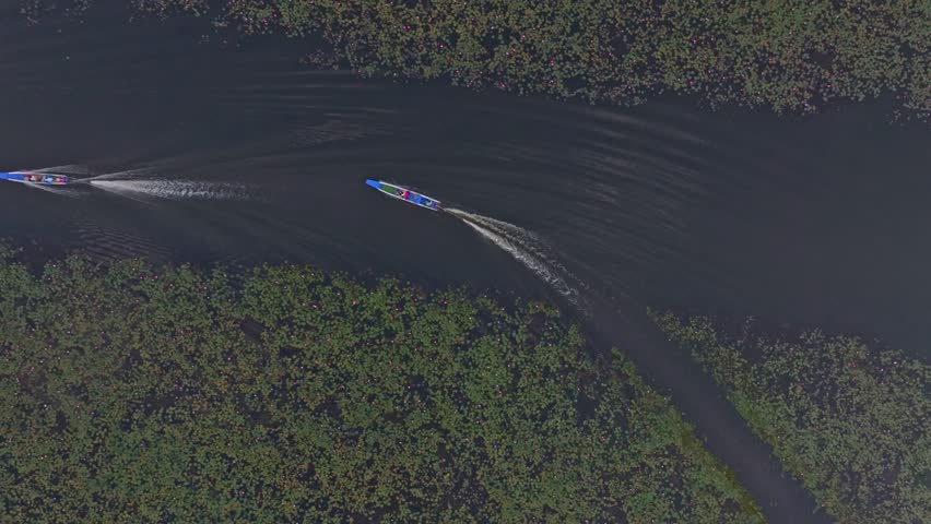 Early light over lotus lake boats filled with visitors