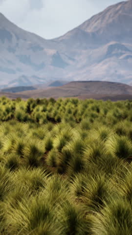Red Rock Canyon National Park