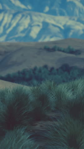 the rocky landscape of the Californian Mojave Desert with green shrubs