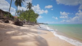 Amazing Coconut Beach On Koh Samui, Thailand.
Travel to the paradise sea beach. The tropical island. Travel to Koh Samui, beautiful tropical sea beach. Koh Samui. Tropical concept. - Powered by Shutterstock - Get 15% off with code: PIKWIZARD15