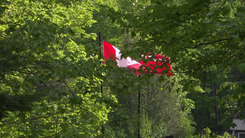 The Canadian flag and the Canadian Red Ensign flag blow in the wind behind trees in a forest on a sunny day.