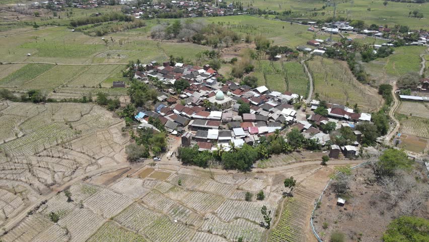 Drone view of Wakan village in the middle of dry rice fields under the hot, bright midday sun. Homes and a mosque sit at the heart of the village. Lombok, Indonesia.