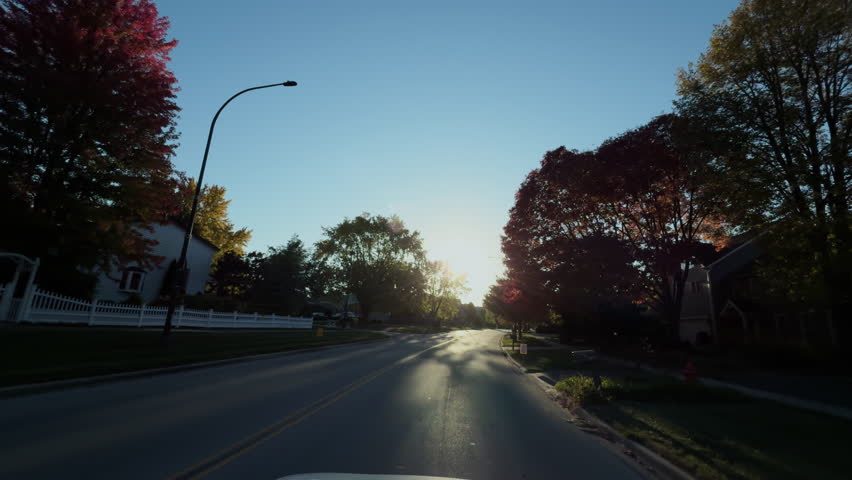 Beautiful suburban streets lined with the vibrant golden trees on a sunny autumn day. Fall scene from moving car at residential area