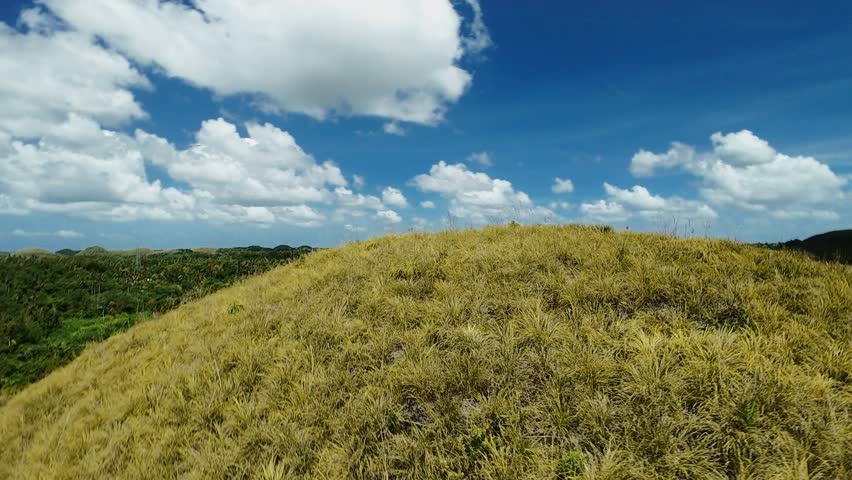 Chocolate hills.hillside covered in dry grass and few trees. sky is mostly clear with a few clouds scattered throughout Bohol island, Philippines, Chocolate hills