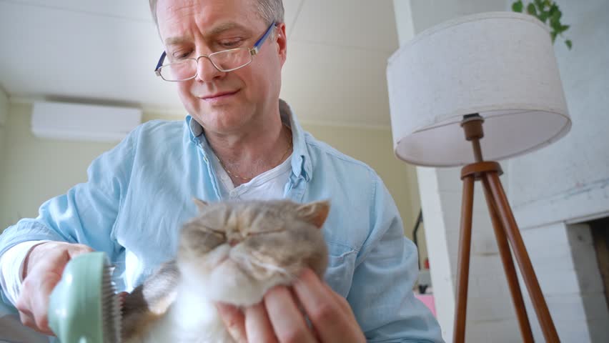 Middle-aged man brushing a fluffy cat on his lap at home. Cozy and warm interior with playful decor and natural light, showing care and pet grooming.