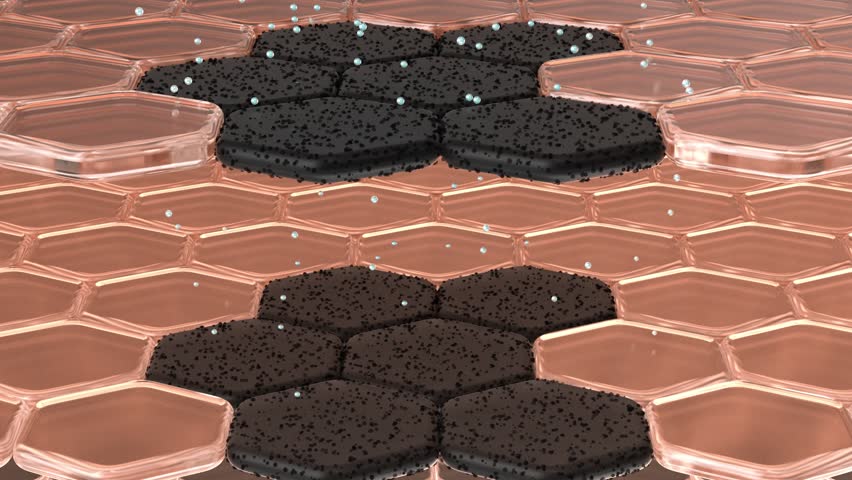 Under the action of the medication, the skin deeply removes toxins and melanin, achieving the effect of freckle removal and skin whitening