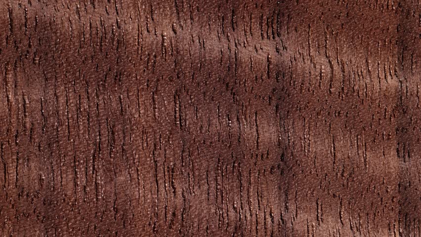 Store displays various carpet designs and textures. Showroom offers wide range of options from plush surfaces to intricate woven patterns. Frame break