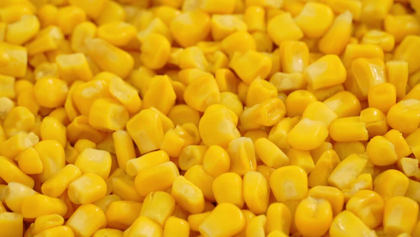 Sweet corn kernels. Sweet yellow canned corn. Fresh corn kernels. Slowly rotating in a circle