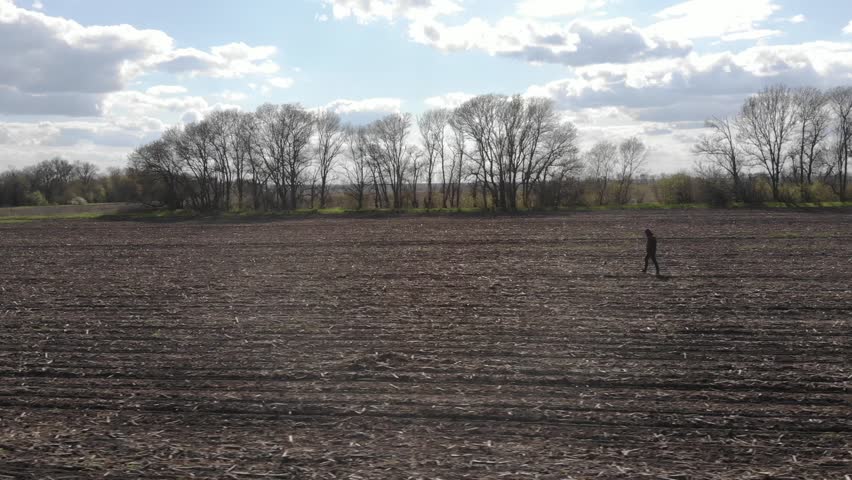 Farmer Checking His Field While Tractor Sows Sunflower Seeds