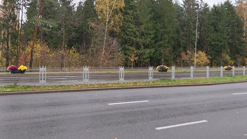 Pots of flowers are arranged on a metal fence separating the directions of the street
