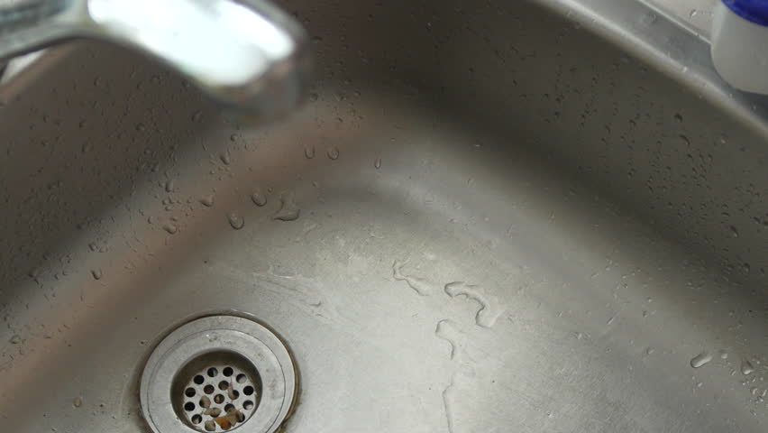Washing Fresh Herbs in a Kitchen Sink