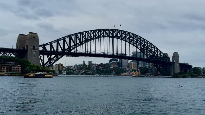 Sydney Harbour Bridge seagull fly past NSW Australia Port Jackson Bay overcast