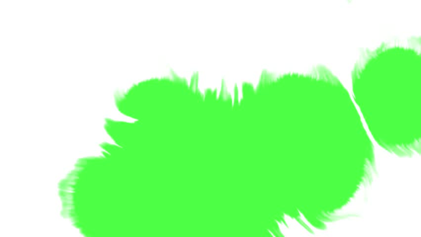 Shutterstock Video