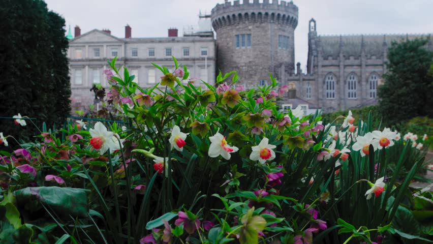 Dublin castle in spring, spring flowers near Dublin castle, tourist spot in Ireland, travel, tourism in Dublin, Irish capital