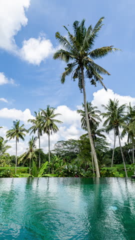 timelapse of luxury swimming pool set in lush valley in vertical