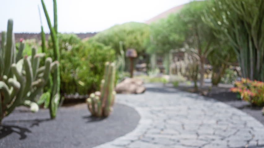 Defocused image of a cactus garden path in lanzarote with a bokeh background