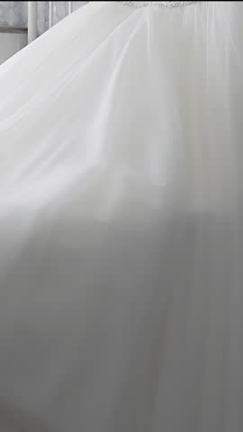 Shutterstock Video